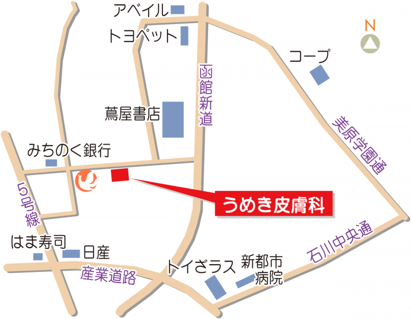 うめき皮膚科 メディカルページ函館 函館市医療情報/病院・医院・治療院ガイド